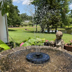🎈LAST DAY 60% OFF🔥Solar-Powered Bird Fountain Kit
