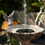 🎈LAST DAY 60% OFF🔥Solar-Powered Bird Fountain Kit