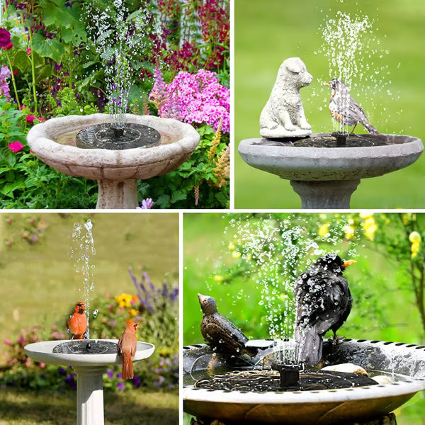 🎈LAST DAY 60% OFF🔥Solar-Powered Bird Fountain Kit