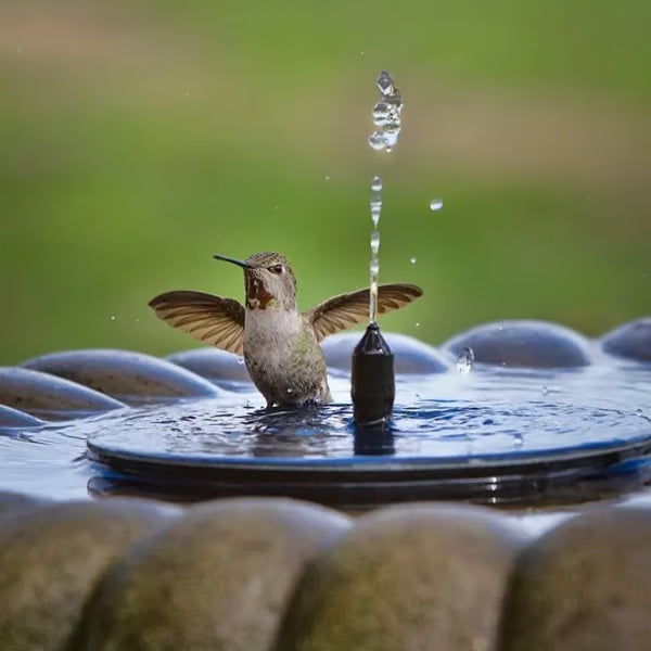 🎈LAST DAY 60% OFF🔥Solar-Powered Bird Fountain Kit
